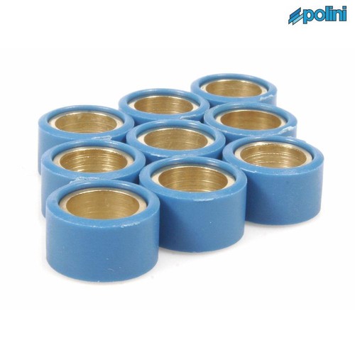 Polini p242252 variator - polini,