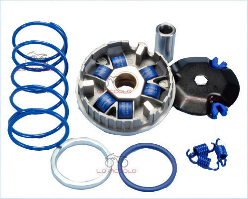 Variatore rulli polini per - variatore, 6