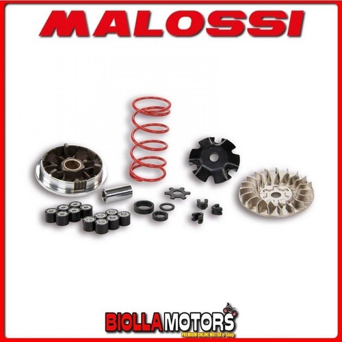 5113161 variator malossi mhr - variator,