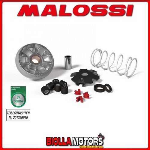 517075 variatore malossi - 517075,