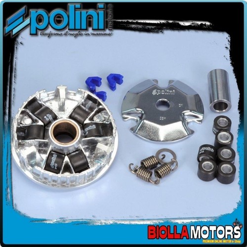 241 301 variatore polini - 241.301, 16x13